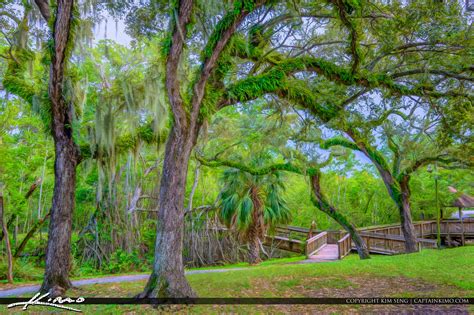 enchanted forest north miami.